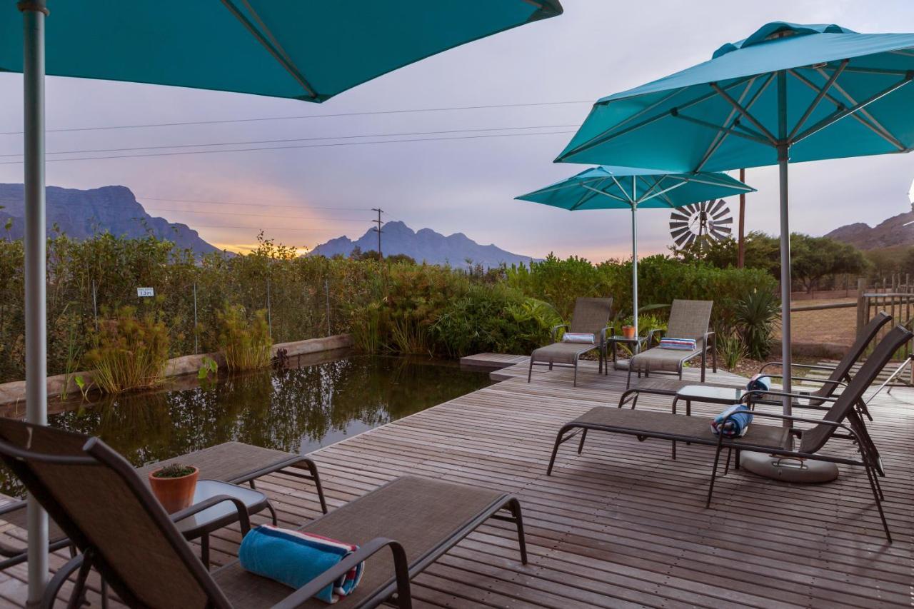Heuwelsig Cottages Franschhoek Exteriör bild