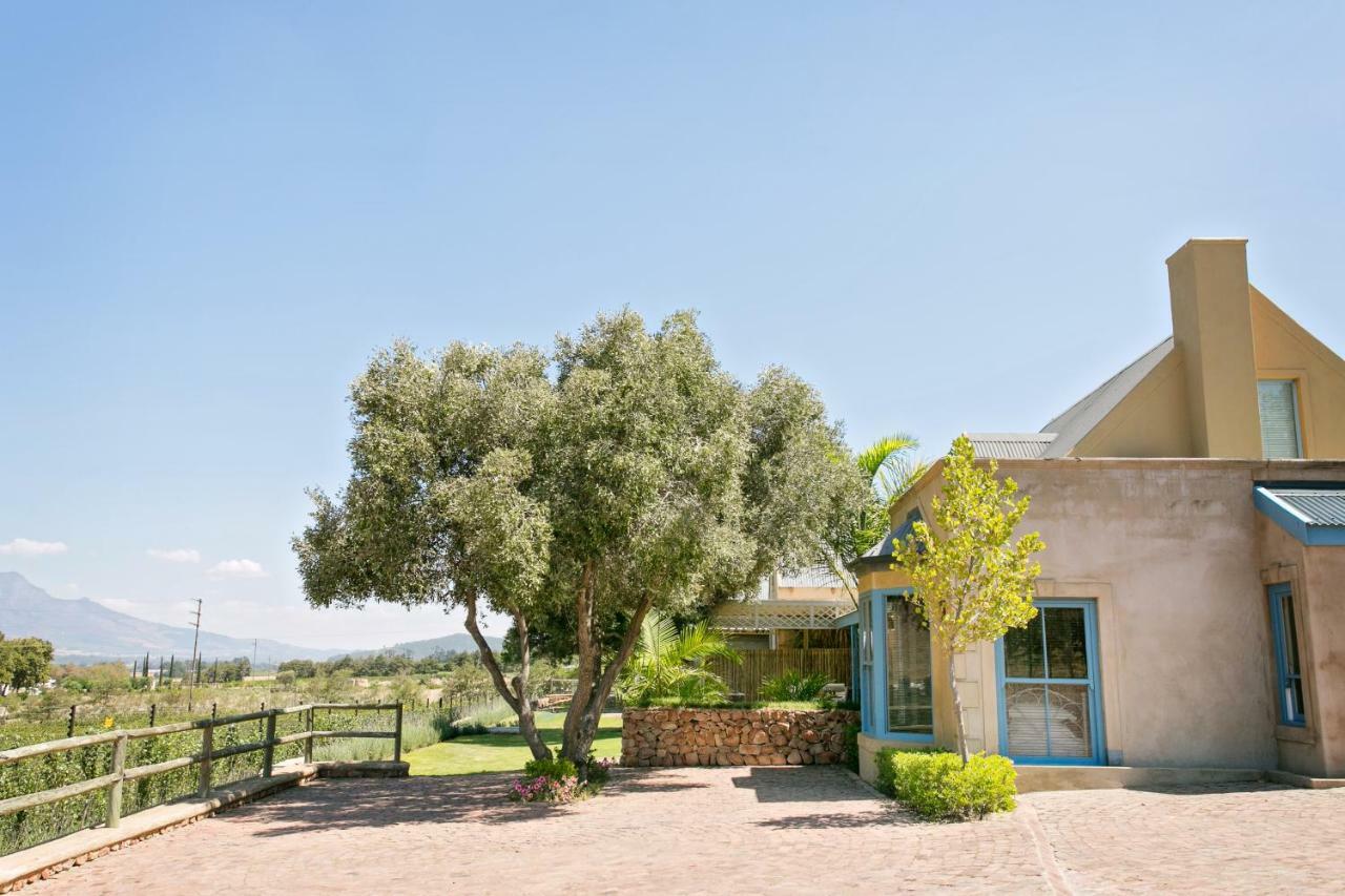 Heuwelsig Cottages Franschhoek Exteriör bild