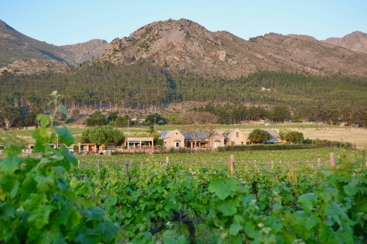 Heuwelsig Cottages Franschhoek Exteriör bild